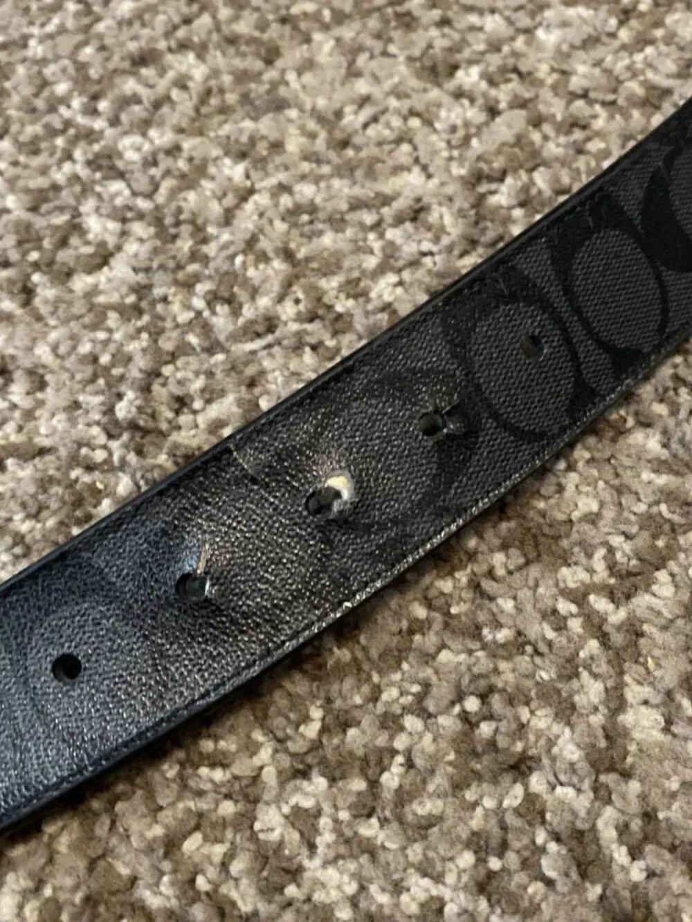 Coach f22540 harness